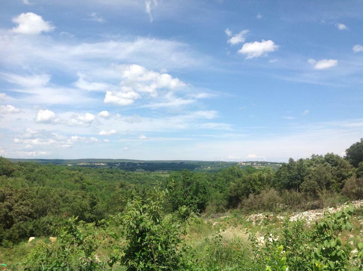 Au Coin Des Cerisiers Βίλα Montclus  Εξωτερικό φωτογραφία